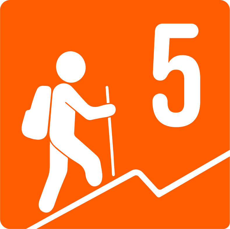 Demanda Física 5